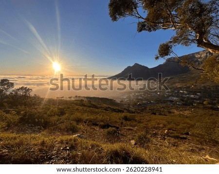 View of Table Mountain from Lion's Head 
