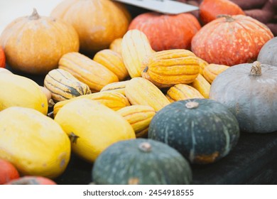 A view of a table of squash varieties, on display at a local farmers market.