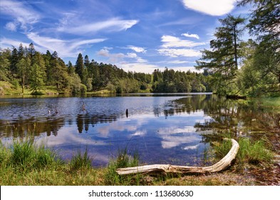 A view of Tarn Hows, a small lake in the English Lake District surrounded by woodland