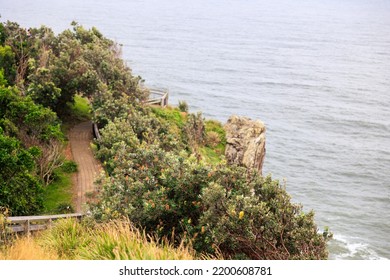 View Of The Tasman Sea From Cape Byron Lighthouse