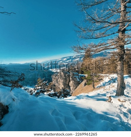 Similar – Image, Stock Photo Dangerous Nature Sky