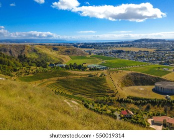 View From Te Mata Hills, Hawkes Bay