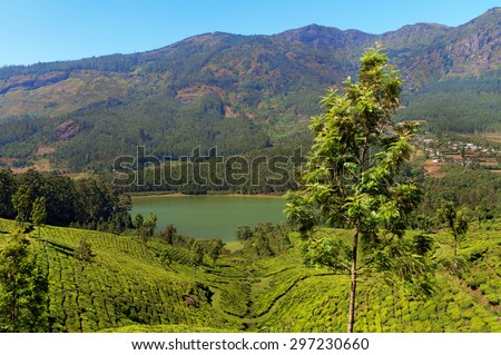 View of tea plantation valley and Madupetty Dam in Munnar. Kerala. India