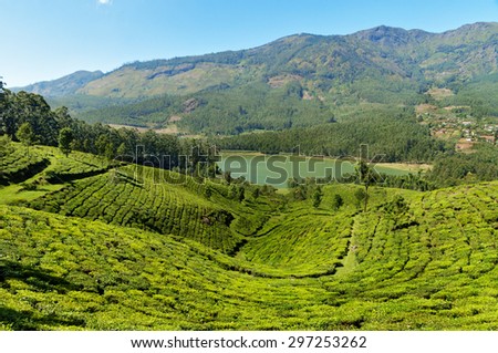 View of tea plantation valley and Madupetty Dam in Munnar. Kerala. India