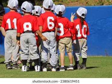 View of a team of 3-4 year olds gathered together after a game at a baseball park - Powered by Shutterstock