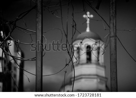 View of the temple through the bars and branches in black and white. Blurry domes of the church and focus on the fence.