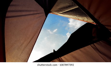 View from the tent