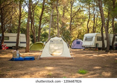 View Of Tent In Camp Ground In The Middle Of Pine Forest.