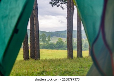 View from the tent to the forest. The concept of outdoor recreation.