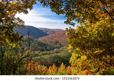 View Of The Thaya River Valley In Autumn Czech Republic.