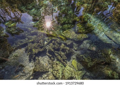 View Of Thermal Pool At Bitter Springs