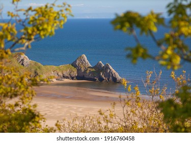 a view of the Three Cliffs Bay framed by tree branches, Gower, Peninsula, Wales, UK