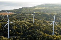 View Of Three Wind Turbine In A Forest On A Sunrise 