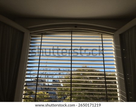 A view through an arched window with horizontal blinds partially closed, revealing a clear blue sky and green treetops outside. Taken in Montevideo, Uruguay