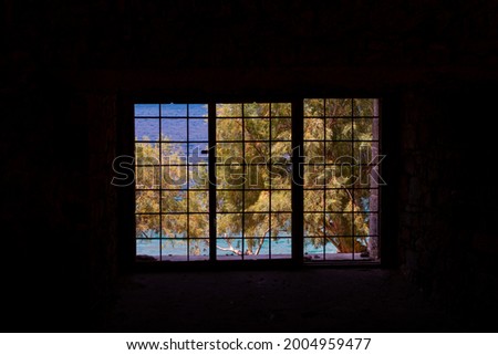 View through the bars of an old prison cell. Outside you can see the sandy beach, on which is a large willow tree.