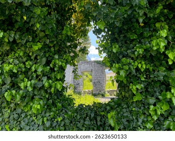 View through a circular opening in dense ivy revealing stone ruins in the background, with mountains and sky beyond.