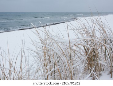 View through dry snow-covered grass to the beach covered with snow and small blue waves. A calm gloomy winter day on the Baltic Sea coast