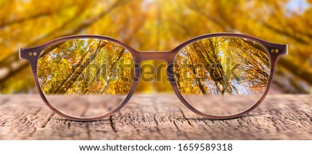 View through eyeglasses to nature