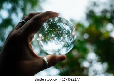 View Through A Glass Ball