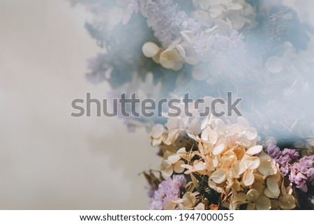 Similar – roses Shop window Flower