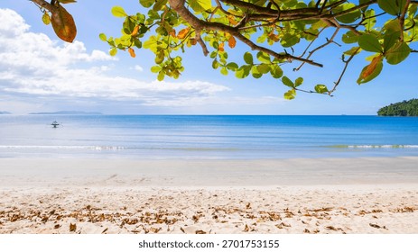 View through green tree canopy to turquoise sea and white sand beach on sunny day in San Vicente, Palawan, Philippines