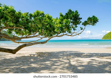 View through green tree canopy to turquoise sea and white sand beach on sunny day in San Vicente, Palawan, Philippines