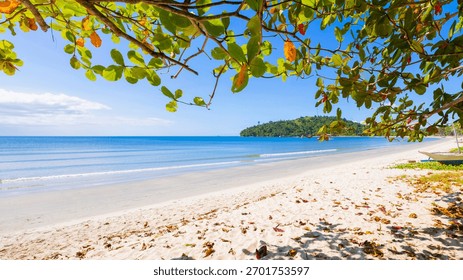 View through green tree canopy to turquoise sea and white sand beach on sunny day in San Vicente, Palawan, Philippines