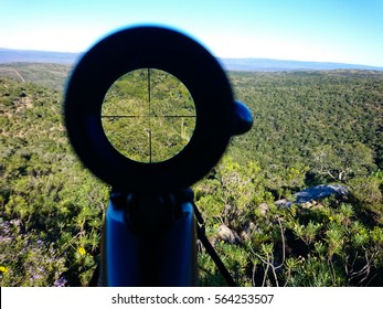 View Through A Hunting Rifle Scope