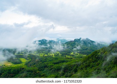 View through the mist