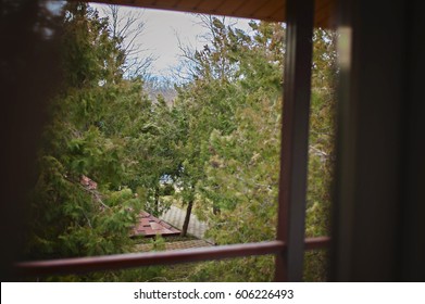 View through a Modern Window on a Windy Autumn Afternoon