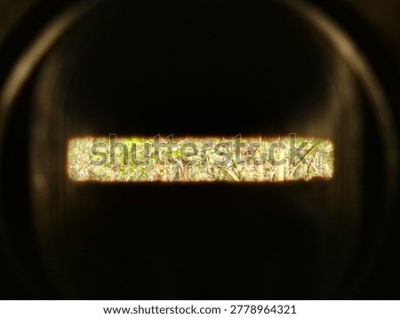 View through the observation slit of a German Regelbau 514 bunker, World War II fortification.

Detailed view of a forest through a narrow armored observation slit. Authentic view from a German Regelbau fortification.