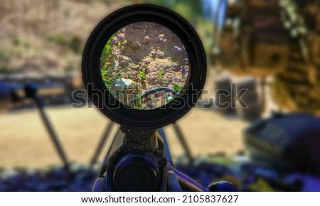 View through a rifle scope