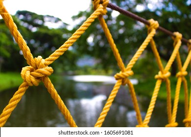 View Through Rope Bridge Sides