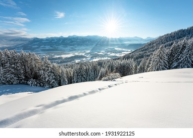 view through some trees into the winter wonderland in Bavaria - Powered by Shutterstock