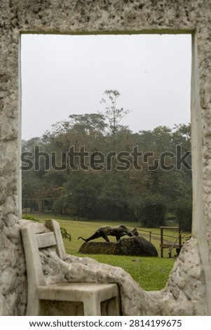 View through a stone window frame of a jaguar statue on a rock, with a green forest background on a misty, overcast day