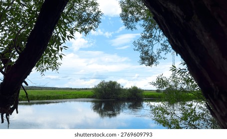 View through tree frames lake and sky in natural landscape. Reflection on water and green foliage create peaceful composition. Concept of nature environment tranquility.