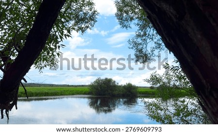 View through tree frames lake and sky in natural landscape. Reflection on water and green foliage create peaceful composition. Concept of nature environment tranquility.