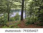 A view through the trees of Jack lake in Algonquin Provincial Park, Ontario, Canada.