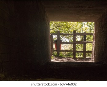the view through an underground tunnel underpass outside near the railway and through a walking path in the forest spring uk day light dark