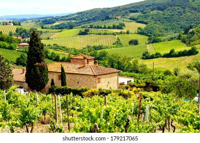  View through vineyards with stone house, Tuscany, Italy