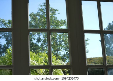 view through window