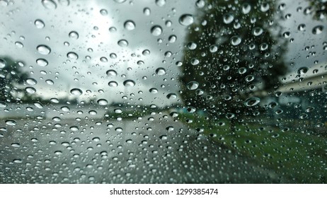 View through the window