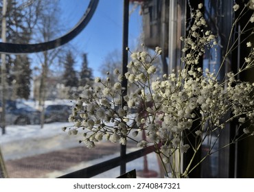 View through a window adorned with flowers, overlooking a snowy street with parked cars. Cozy winter urban scene combining natural elements and everyday city life.
