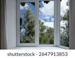 View through a  window of a forest, a park with green and silver willow trees.                               