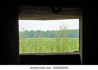 view through the window of  a world war I bunker on farmland and forest in Oosterzele, Flanders, Belgium