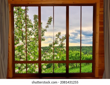 View through wooden window at spring landscape with blooming apple or cherrry tree in spring garden. Blossoming apple tree branch under natural wooden window. Springtime calendar