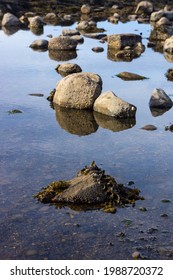 View Of A Tidal Pool At Low Tide In Maine.