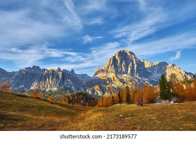View of Tofane mountains seen from Falzarego pass in an autumn landscape in Dolomites, Italy. Mountains, fir trees and above all larches that change color assuming the typical yellow autumn color