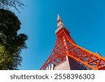 View of Tokyo Tower with blue sky. At Shiba Park, it was the tallest tower in Japan until the construction of Tokyo Skytree, a landmark in Japan