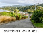 View from the top of Baldwin Street, steepest street in New Zealand